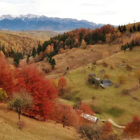 Samedru Magura (Brasov)